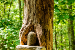 rowanoffice_DSC_6285-3443098921-O_960